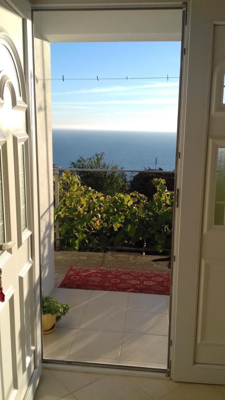 Apartment Vuk I Novak Ulcinj Ngoại thất bức ảnh
